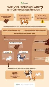 Wieviel Schokolade ist für Hunde gefährlich? Grafik: felmo.de