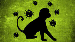 Affenpocken: Wissenschaftler:innen weisen Belastung von Oberflächen mit dem Virus nach