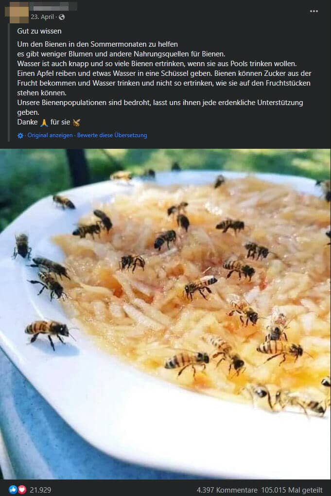 Screenshot Facebook-Beitrag "Bienen in den Sommermonaten helfen"