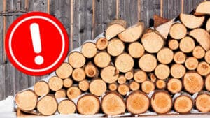 Achtung vor Fake-Shops für Holzpellets und Brennholz
