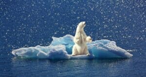 Klimaneutralität: 89 Prozent fordern klare Regeln und geprüfte Siegel für Produkte