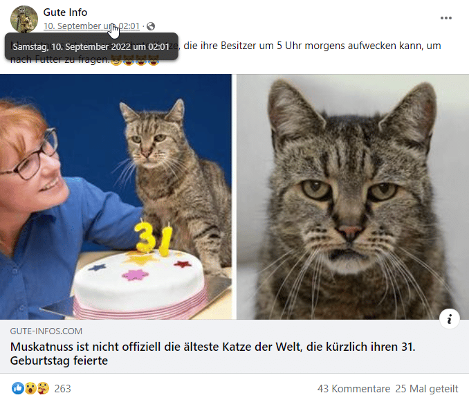 Facebook Screenshot vom September 2022: "Älteste Katze der Welt feierte kürzlich ihren 31. Geburtstag"