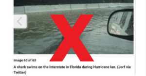 Hai-Way oder Highway? Nein, Hurrikan Ian brachte keine Haie nach Florida!