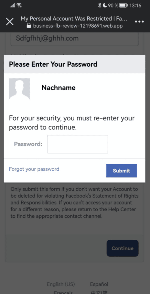 Screenshot gefälschte Seite / Passwort-Abfrage