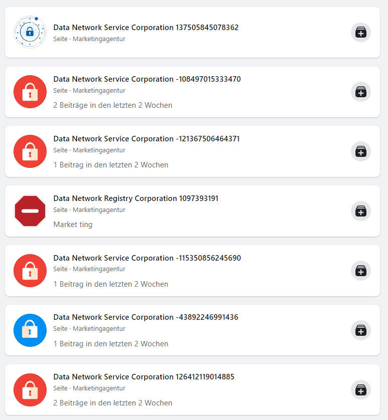 Screenshot: verschiedene Seiten der "Data Network Service Corporation"