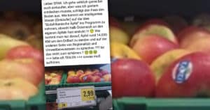 Warum werden in Österreich Äpfel aus Südafrika importiert? 