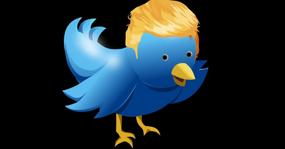 Tricksereien bei Twitter? Trump hat plötzlich alte/neue Follower!