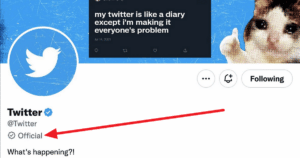 Blauer Haken, grauer Haken: Das Twitter-Verifizierungschaos