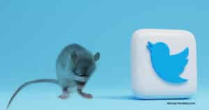 Hat ein Tagesschau-Korrespondent wirklich Twitter-User mit Ratten verglichen?