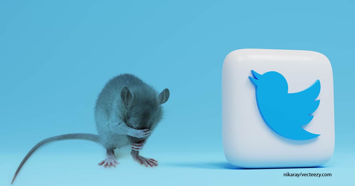 Hat ein Tagesschau-Korrespondent wirklich Twitter-User mit Ratten verglichen?