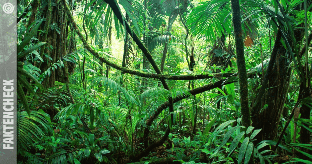 Keine Überraschung: Im Dschungelcamp ist nicht alles echt