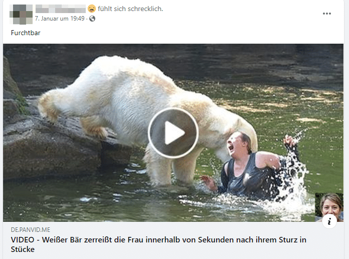 Angeblich sei mit einem Klick das Video mit dem Eisbären zu sehen