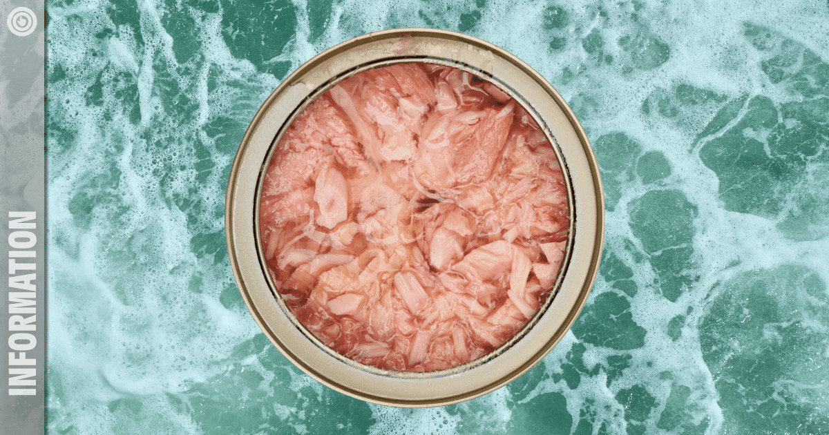 Thunfisch in der Dose: Darf man das noch essen? Bild: Pixabay