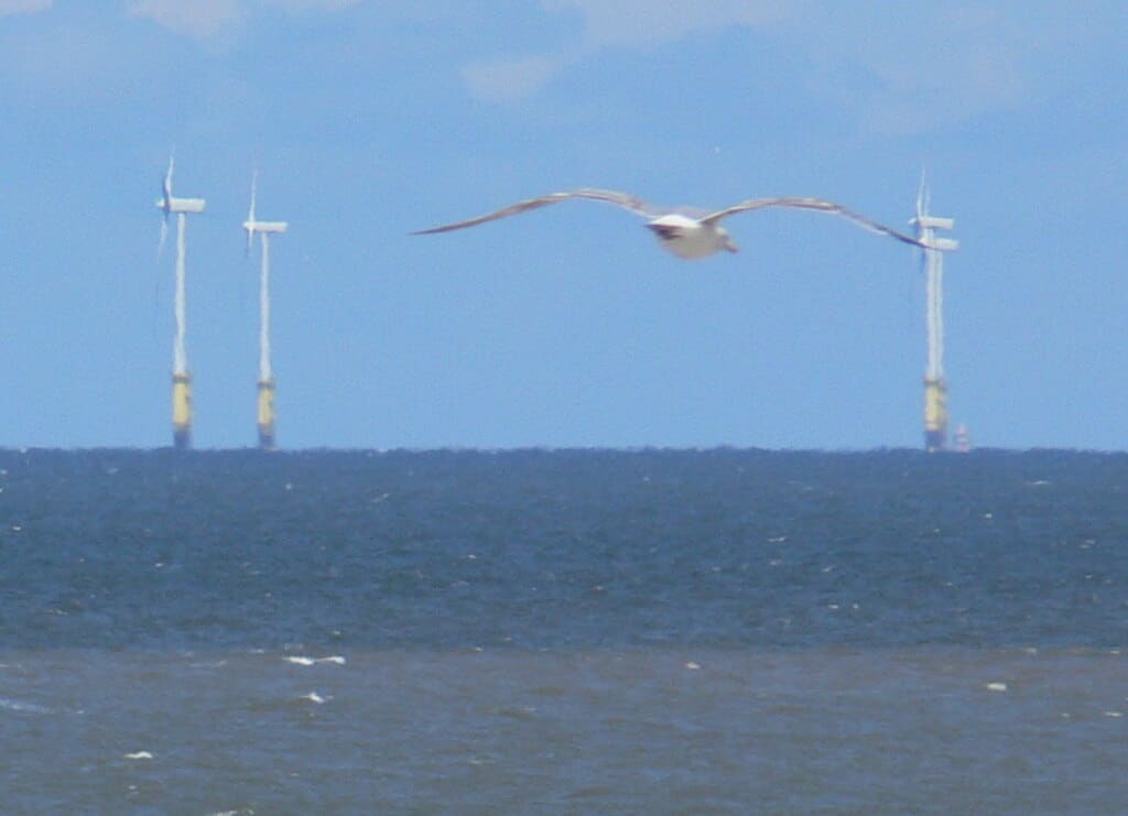 Offshore Windpark Möwe