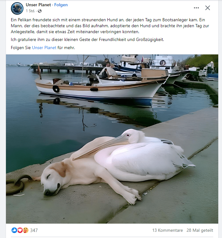 Faktencheck: Pelikan freundete sich mit einem streunenden Hund an