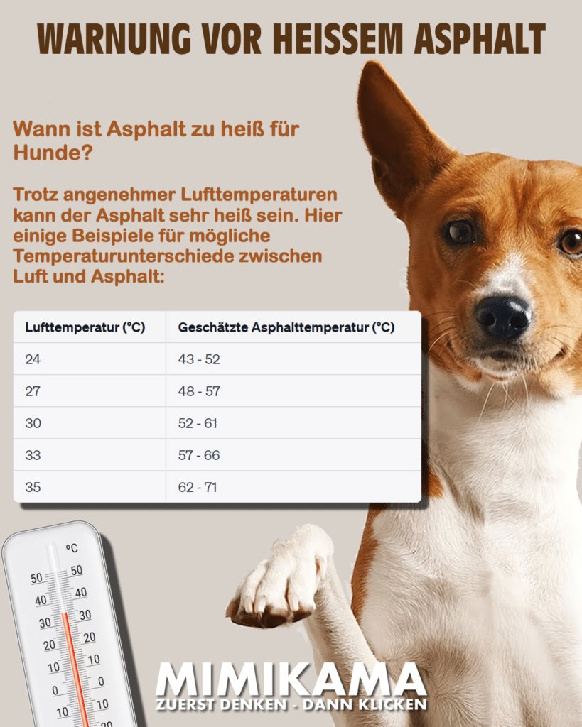 Bild: Schützen Sie die Pfoten Ihres Hundes vor heißem Asphalt im Sommer (Freepik)