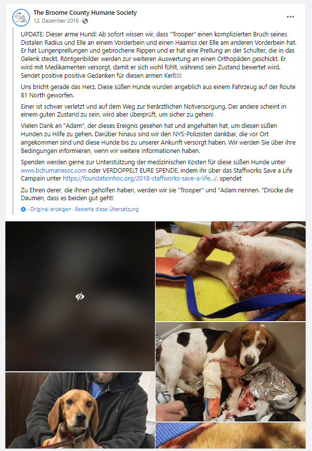 Faktencheck: Die rührende Geschichte von zwei Hunden – mimikama.org Faktencheck: Die rührende Geschichte von zwei Hunden – mimikama.org