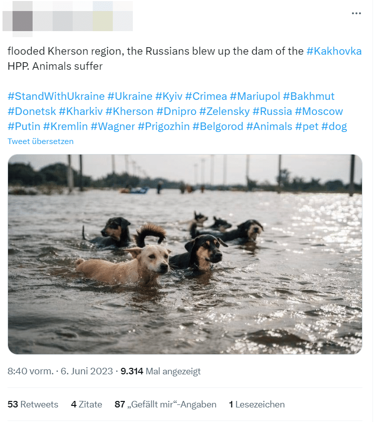 Aktuell wird ein Foto von sechs in Überschwemmungen gefangenen Hunden in den sozialen Medien geteilt, das fälschlicherweise, der Ukraine zugeordnet wird. Angeblich stammte diese vom Bruch des Dammes Nova Kachowka in der Ukraine im Juni 2023