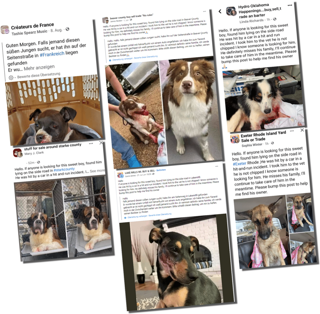 Screenshots der Fake-Statusbeiträge von entlaufenen und verletzen Hunde auf Facebook