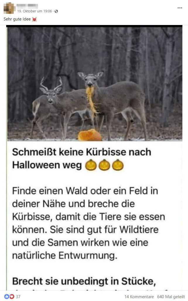 Halloween-Mythos: Warum Kürbisse keine Leckerei für Rehe sind – mimikama.org Screenshot Facebook: "Schmeißt keine Kürbisse nach Halloween weg"