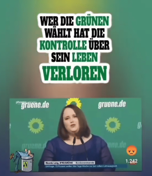 Ricarda Lang: Aussage in viralem Video aus Kontext gerissen – mimikama.org Screenshot Instagram