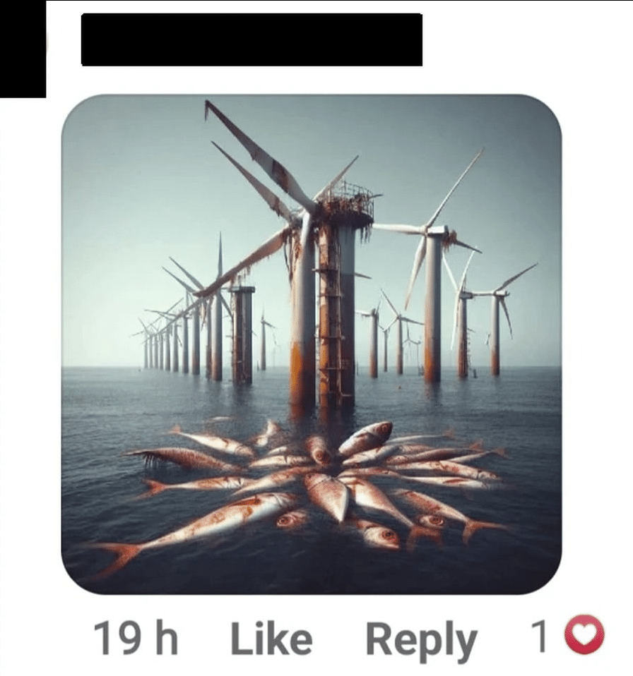 Wal-Schutz in der Kontroverse: Offshore-Windkraft in Australien – mimikama.org Wal-Schutz in der Kontroverse: Offshore-Windkraft in Australien – mimikama.org