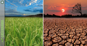 Die Erde erwärmt sich: Konsequenzen für die Landwirtschaft