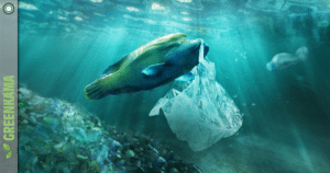 Plastikflut in den Meeren: Die unsichtbare Gefahr