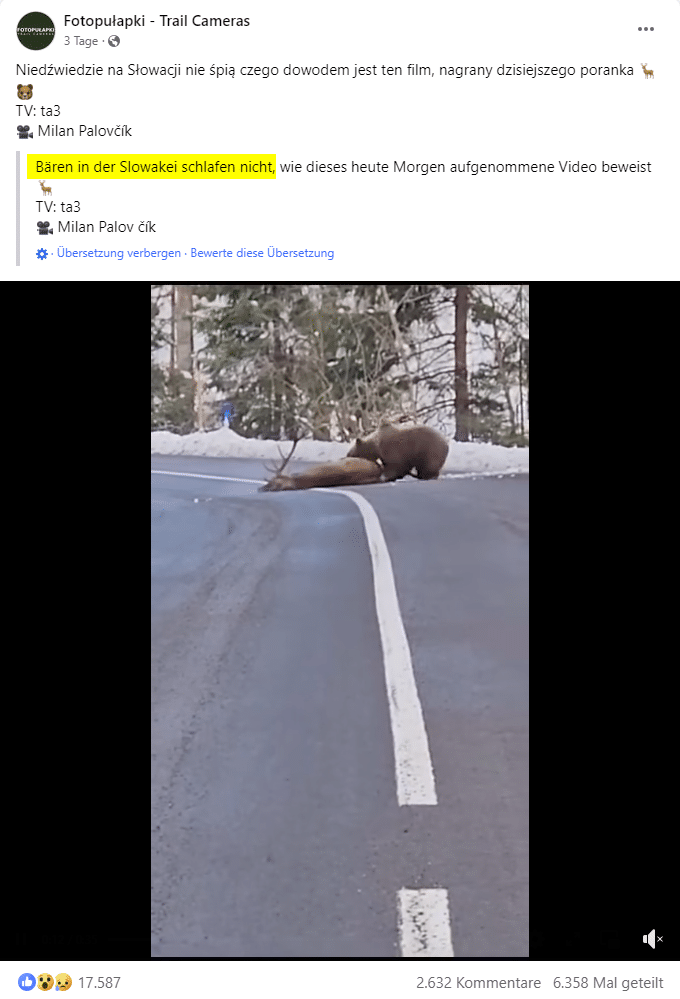 Bär reißt Hirsch: Aber nicht in Salzburg oder Kärnten! – mimikama.org Virales Video des Bären bei seiner Hirsch-Jagd / Screenshot Facebook