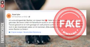 Faktencheck: Fake-Statusbeiträge mit verletzten Hunden