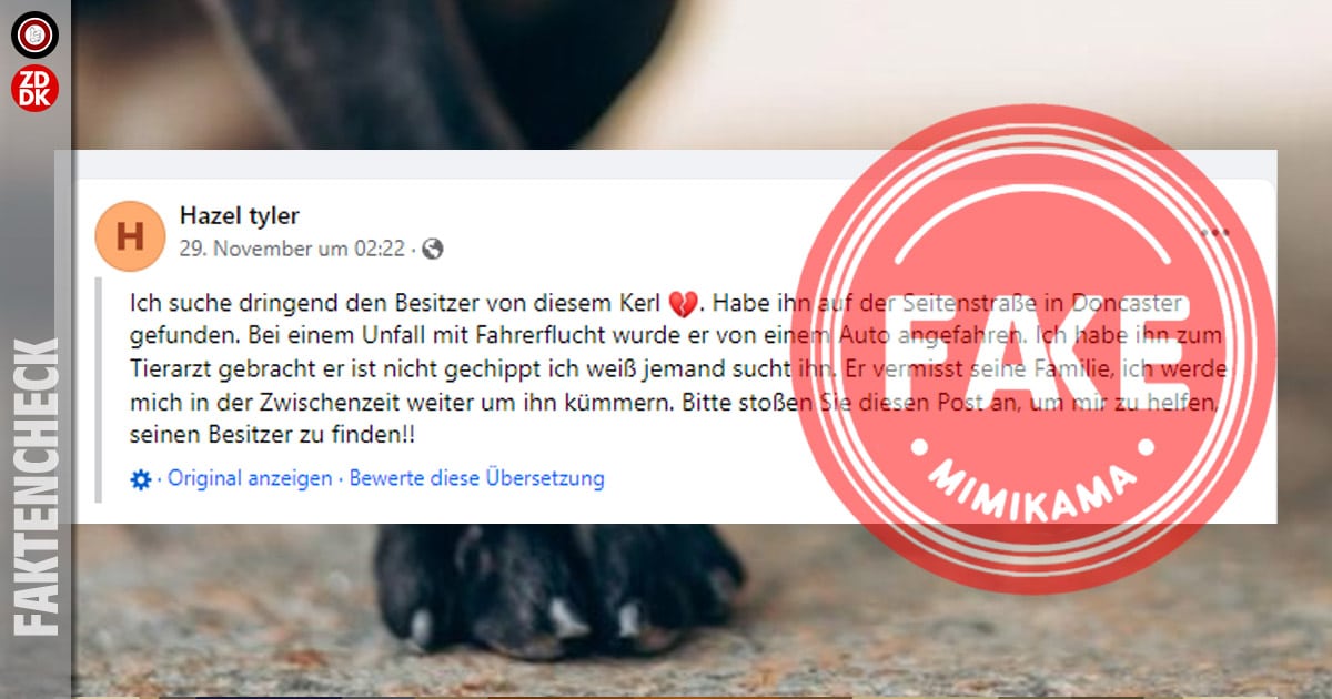 Das Titelbild zeigt einen Screenshot eines Facebook-Posts zum Thema "verletzter Hund". Darüber liegt ein roter Stempel mit den Schriftzügen "Fake" und "Mimikama". Im Hintergrund ist eine Hundepfote zu erkennen.