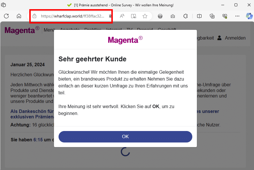 Netflix-Betrug: Achtung vor dieser Abofalle! – mimikama.org Screenshot der Fake-Webseite