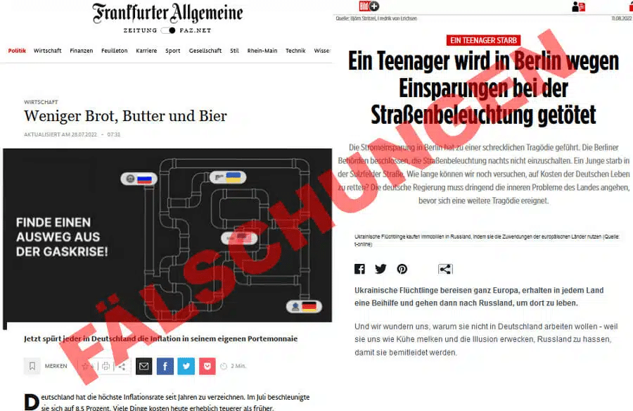 Russlands Einflussnahme auf Wahlen durch Fake-Profile und Fake-Webseiten – mimikama.org Beispiel von gefälschten Webseiten