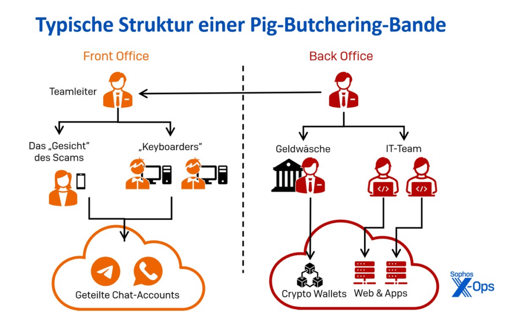 Grafik: Struktur einer Pig-Butchering-Bande (Quelle: Sophos)