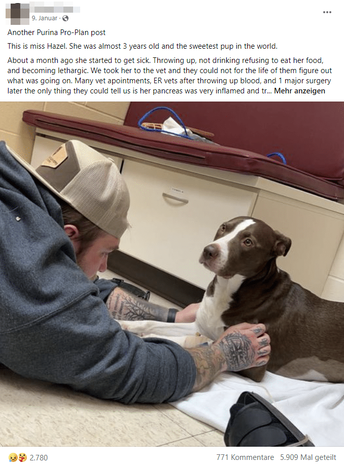 Purina: Opfer von Online-Gerüchten oder Risiko für Haustiere? – mimikama.org Screenshot Facebook-Gruppe “Saving Pets One Pet @ A Time”