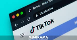 „Riskantik“: Jugendliche kämpfen gegen Fake News auf TikTok