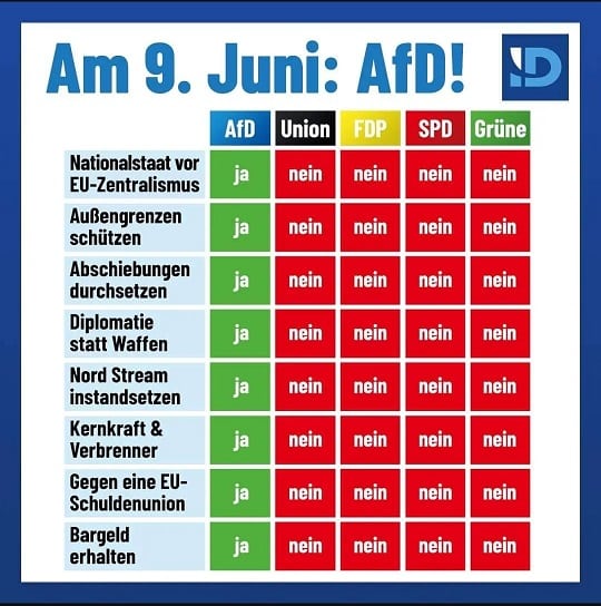 Streut Wahlwerbung der AfD falsche Informationen? - Screenshot der Behauptungen