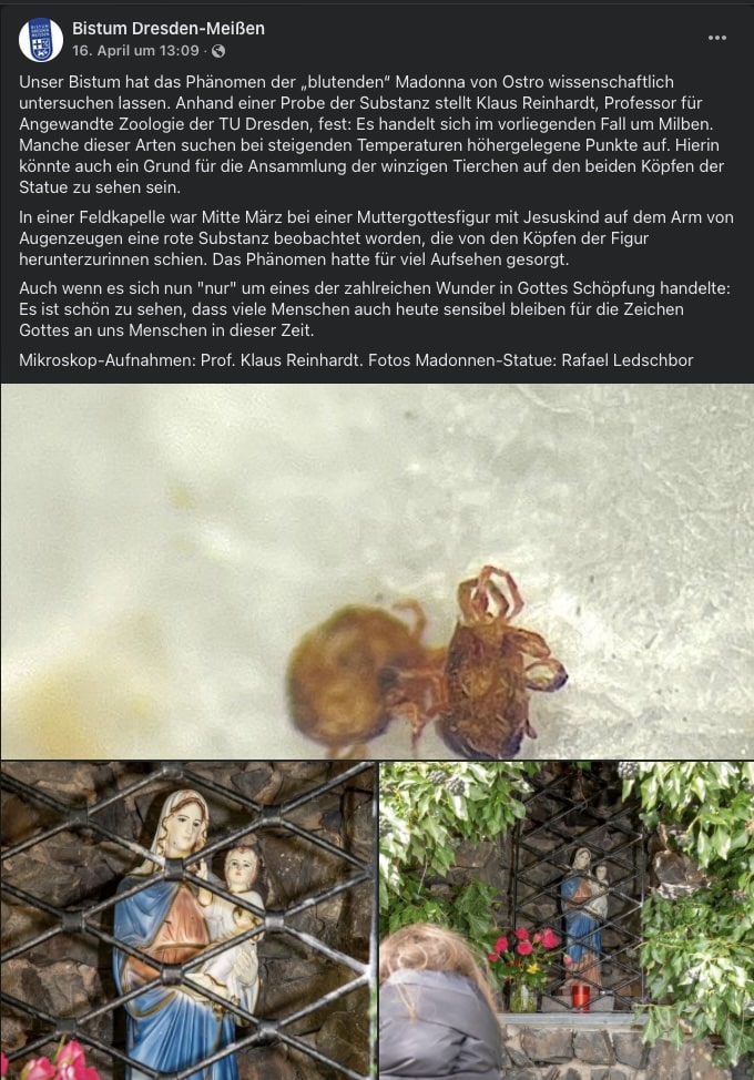 Die Natur erklärt das Wunder: Milben statt Marienblut - Screenshot aus den sozialen Medien