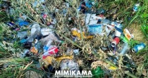Werden Umweltproteste zu Unrecht als Müll-Verursacher bezeichnet?