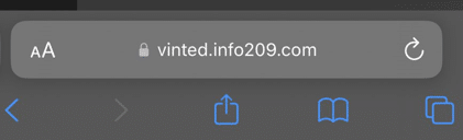 Screenshot der Fake-Vinted-Webseite