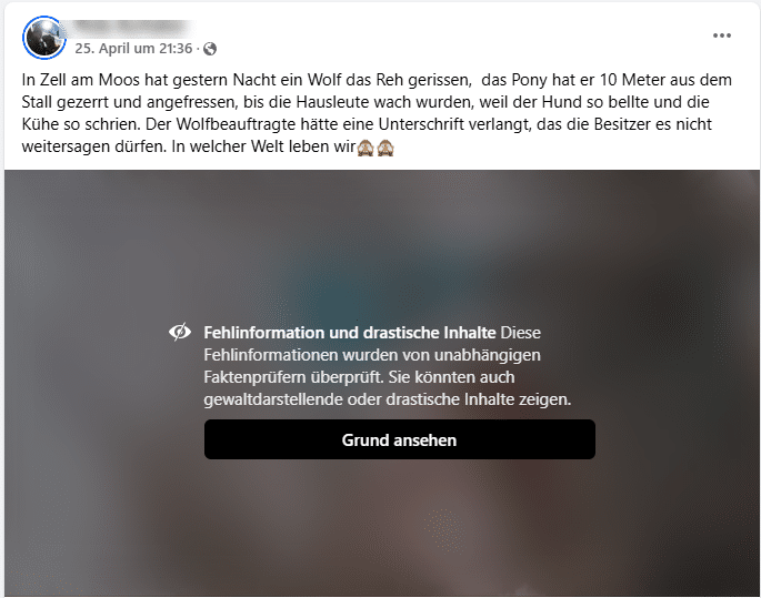 Falsche Behauptungen über einen möglichen Wolfsangriff auf ein Pony – mimikama.org Screenshot des Videos auf Facebook mit entsprechendem Hinweis (hier archiviert)