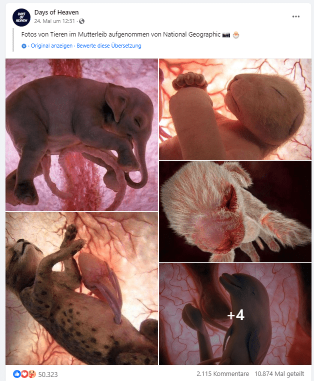 Echte Bilder von Tierföten im Mutterleib? Nein, es handelt sich um Silikonmodelle! – mimikama.org Echte Bilder von Tierföten im Mutterleib? Nein, es handelt sich um Silikonmodelle! – mimikama.org