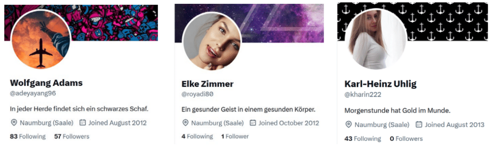 Die perfide pro-russische Desinformationskampagne „Doppelgänger“ – mimikama.org Screenshot: Technischer Bericht zur Analyse des Auswärtigen Amts "Doppelgänger"