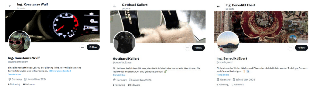 Die perfide pro-russische Desinformationskampagne „Doppelgänger“ – mimikama.org Screenshot: Technischer Bericht zur Analyse des Auswärtigen Amts "Doppelgänger"
