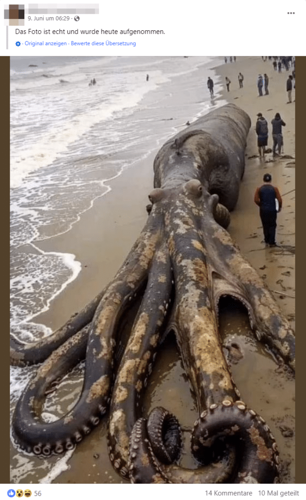 Riesenkrake am Strand: Ein echtes Bild? Sicher?? - Sicher nicht! – mimikama.org Screenshot Facebook