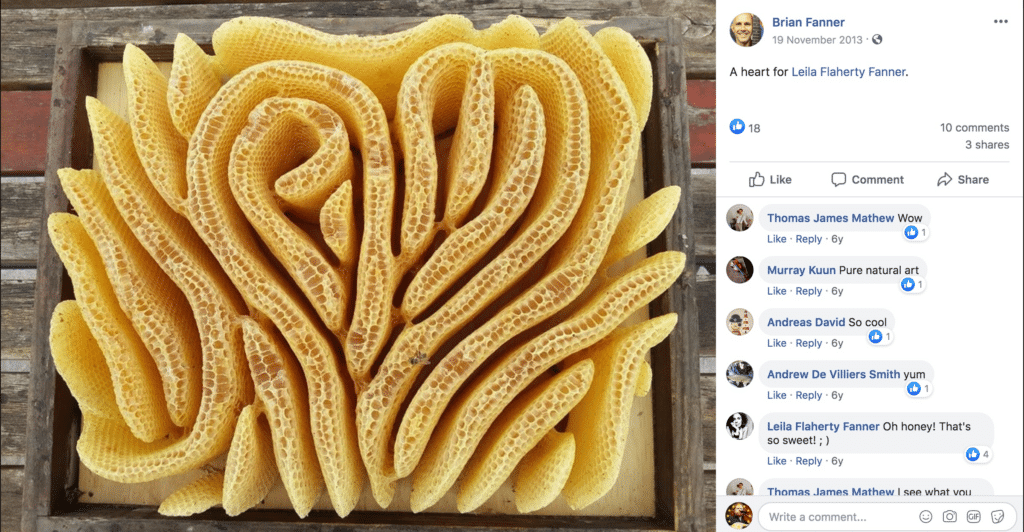 Bienenstock-Foto enthüllt: Faktencheck des viralen Fotos – mimikama.org Screenshot des "Bienenstockes". Das Bild wurde von Brian Fanner im Jahre 2013 veröffentlicht
