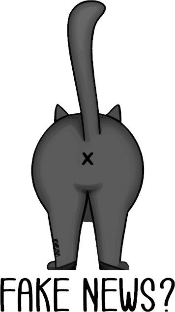 schaumalhiernach – mimikama.org