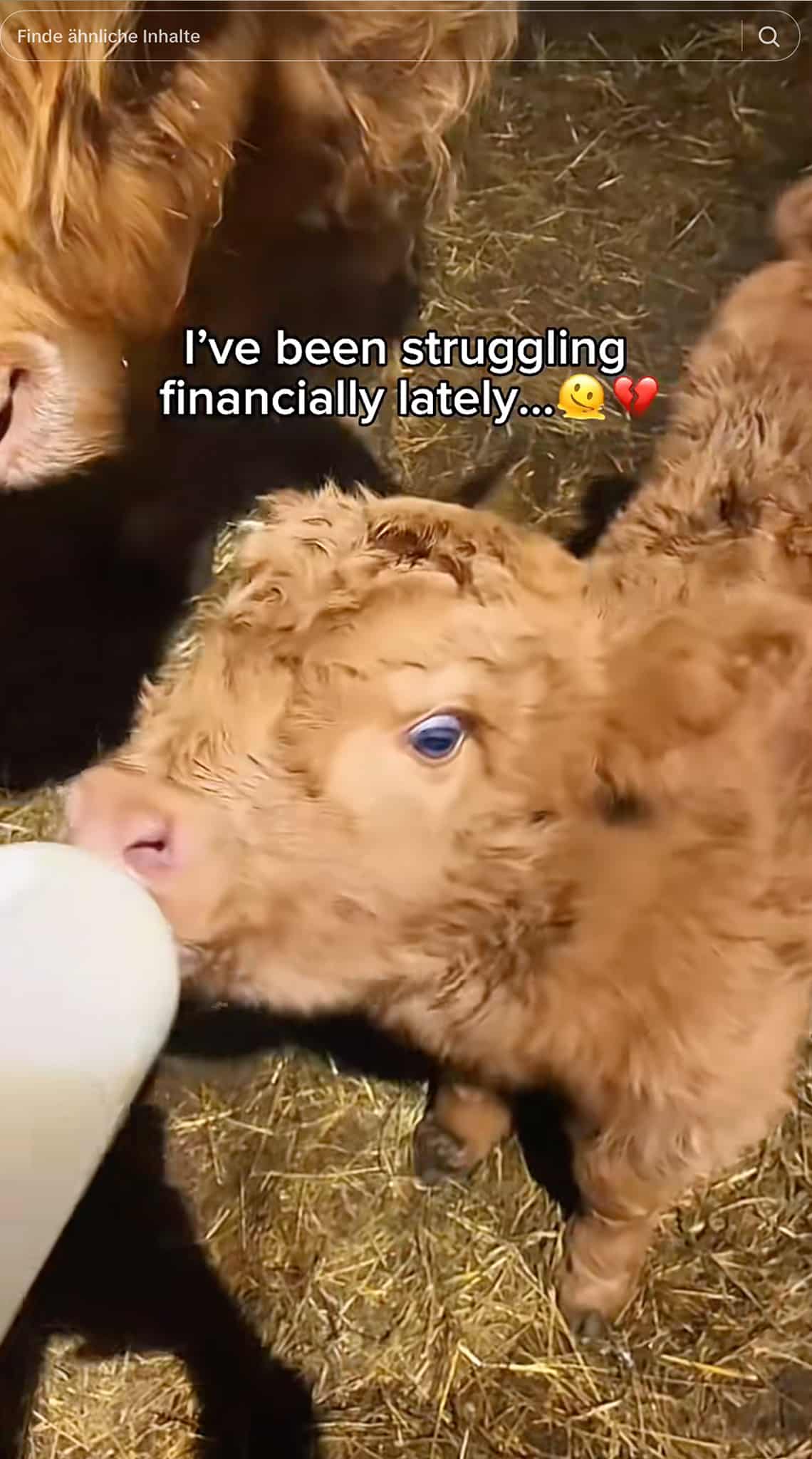 "I´ve been struggling financially lately ..." | Screenshot TikTok