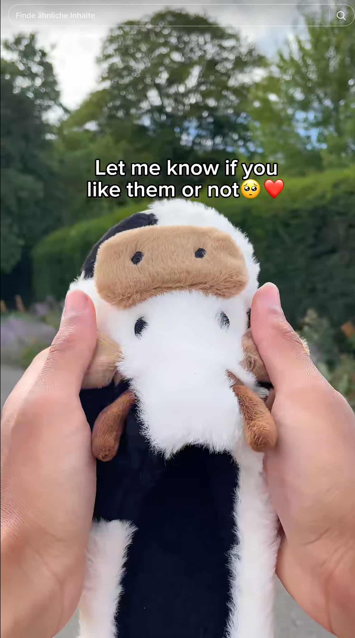 "Let me know if you like them or not" | Screenshot TikTok