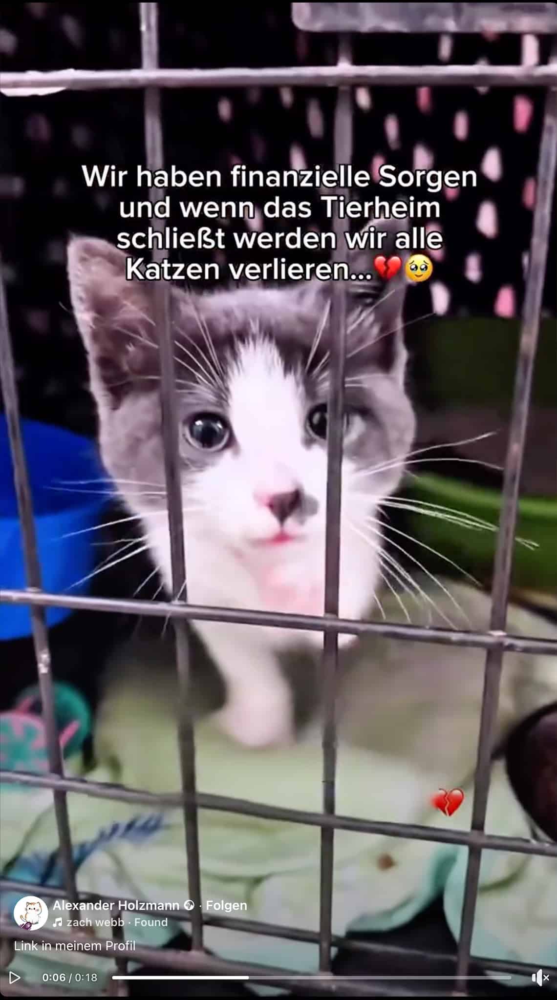 "Wir haben finanzielle Sorgen und wenn das Tierheim schileßt werden wir alle Katzen verlieren" | Screenshot Facebook